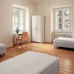 Zamecky